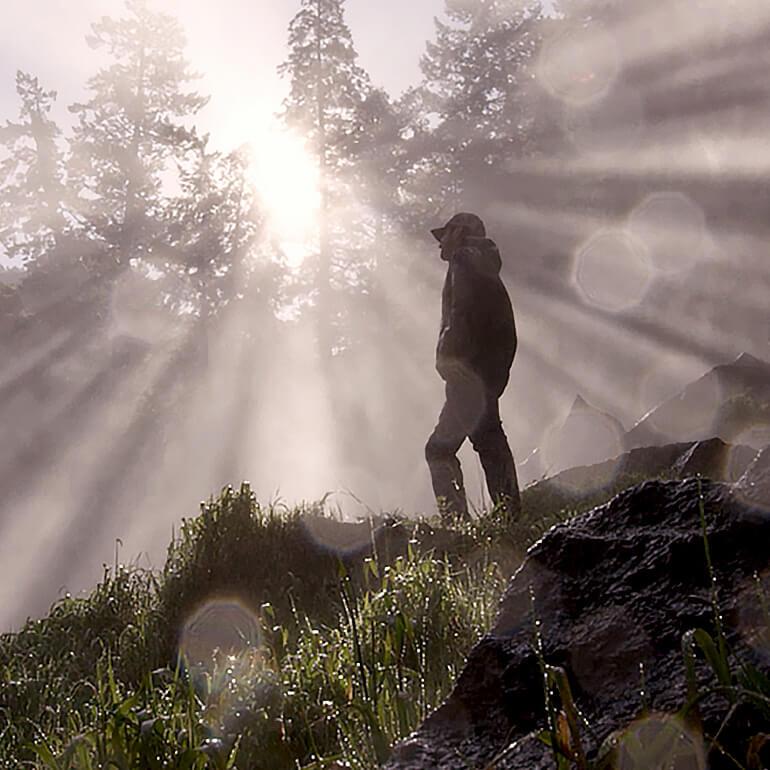 A man stands looking into the distance while rays of sun shine through trees behind him and mist around him.