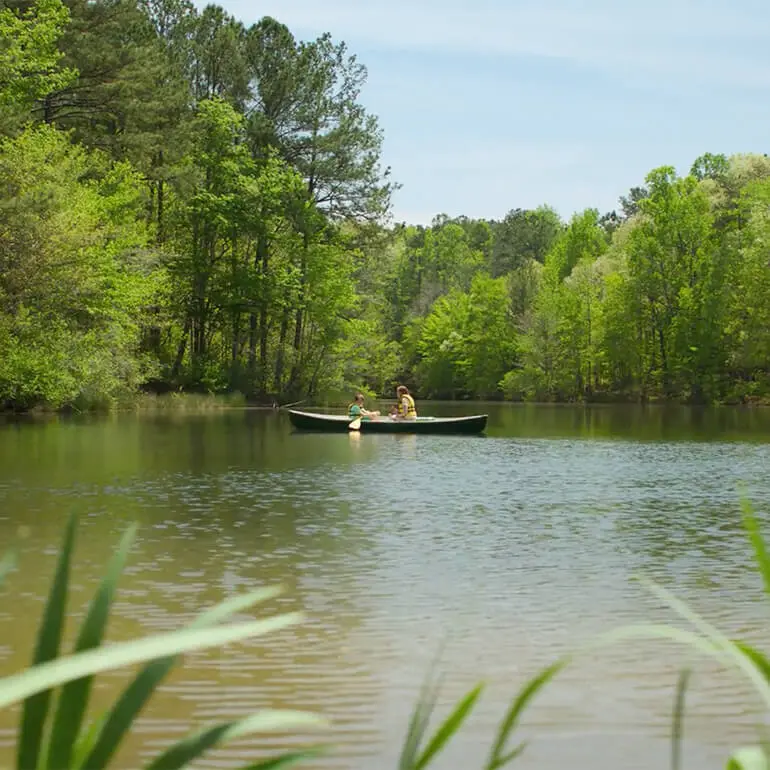 Two people in a canoe paddle on a calm lake surrounded by lush green trees under a clear blue sky.