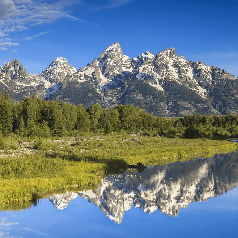 Lake in Grand Teton National Park, surrounded by grass and trees with snowy mountains in the background.